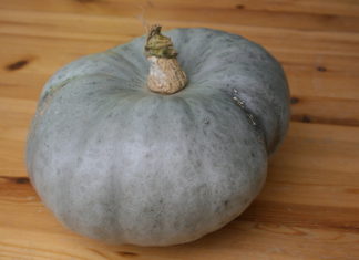 courge